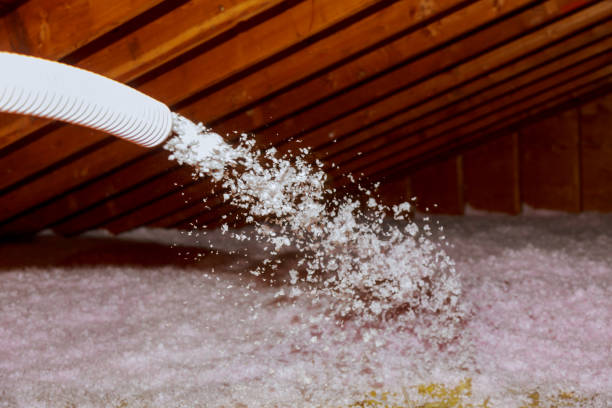 Trusted Galena Park, TX Insulation Experts